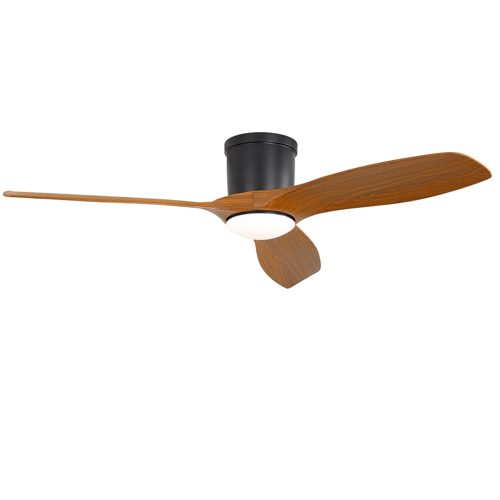 Ceiling Fans