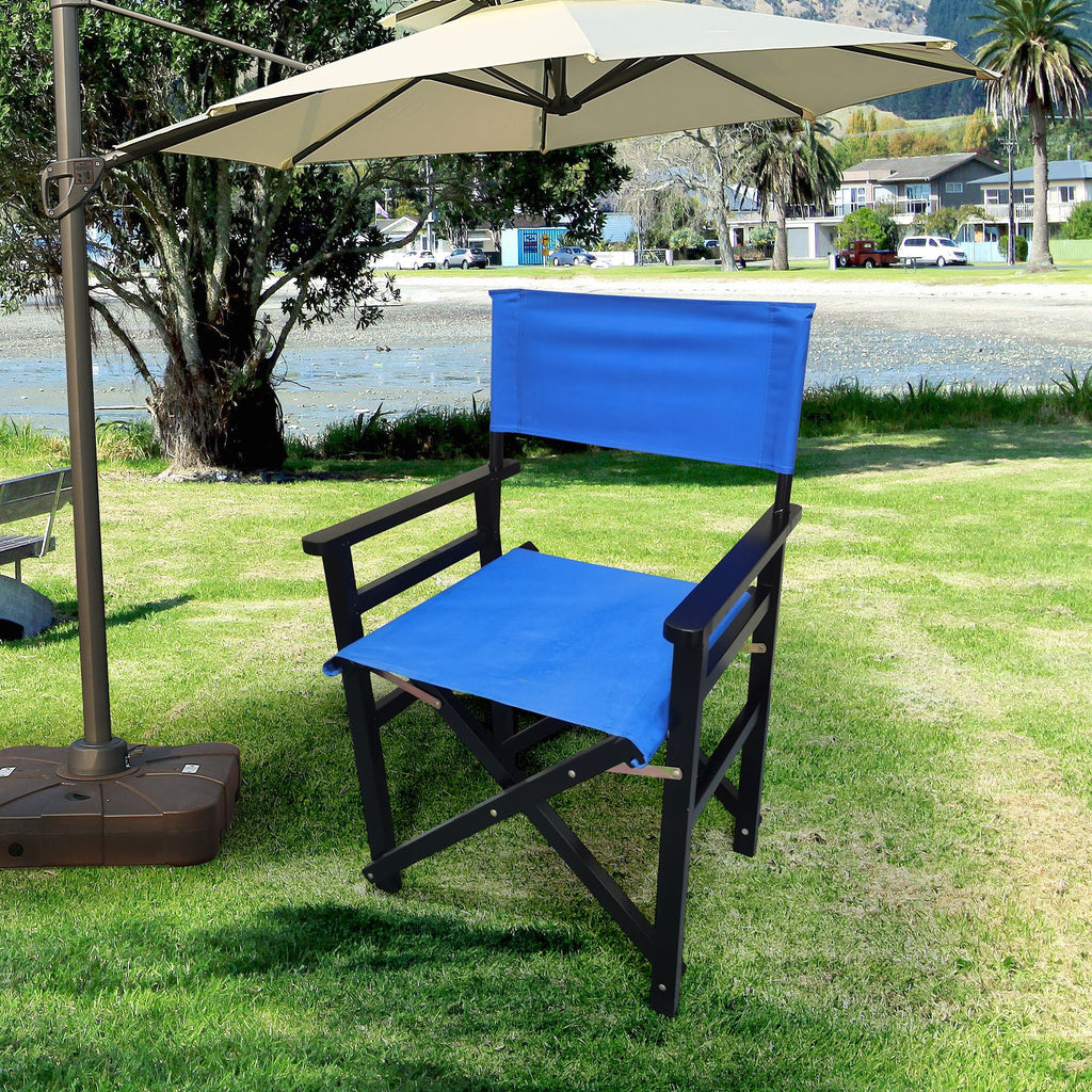 Folding Director Chair
