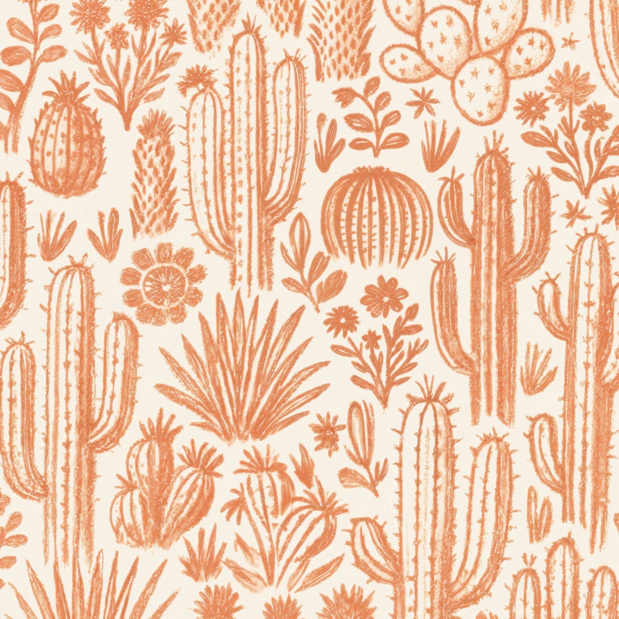Ocotillo Wallpaper